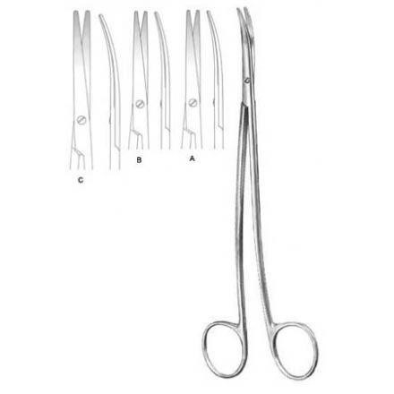 Delicate Dissecting Scissors