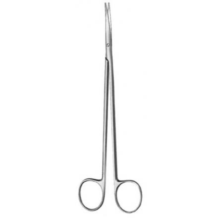 Dissecting Scissors