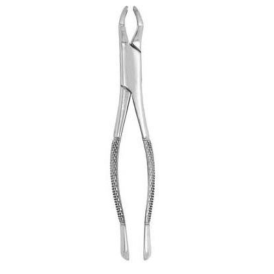 Extracting Forceps #210S