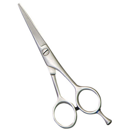 Barber Scissors