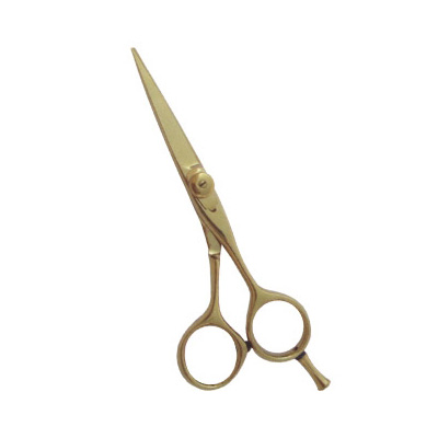 Barber Scissors