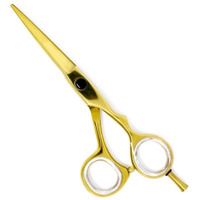 Barber Scissors