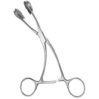 Tongue Holding Forceps